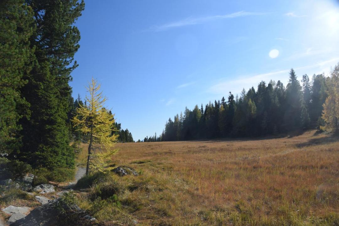 Photo of Others in Turracher Hohe