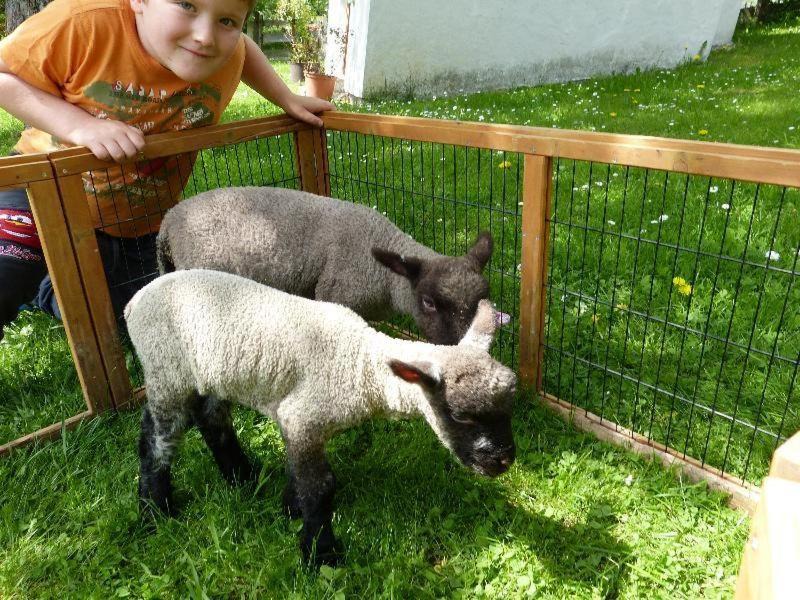 Photo of Others in Rangersdorf