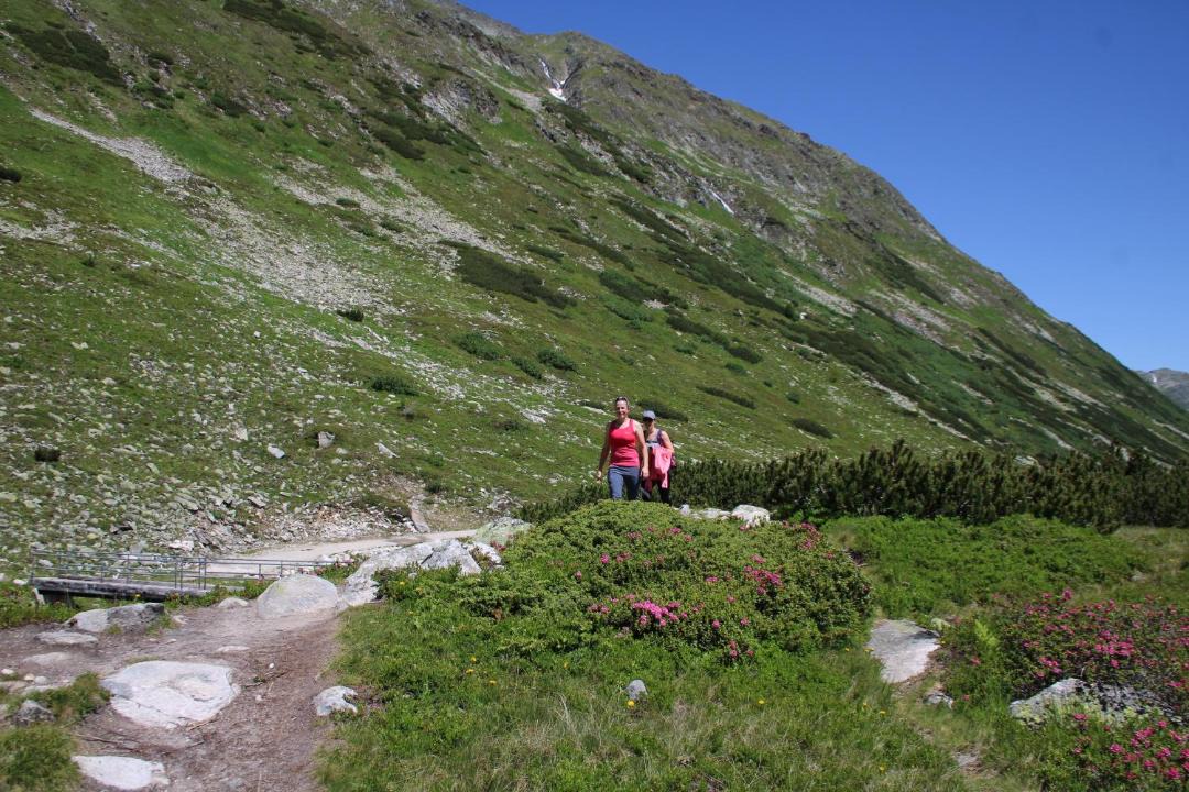 Photo of Others in Berg im Drautal