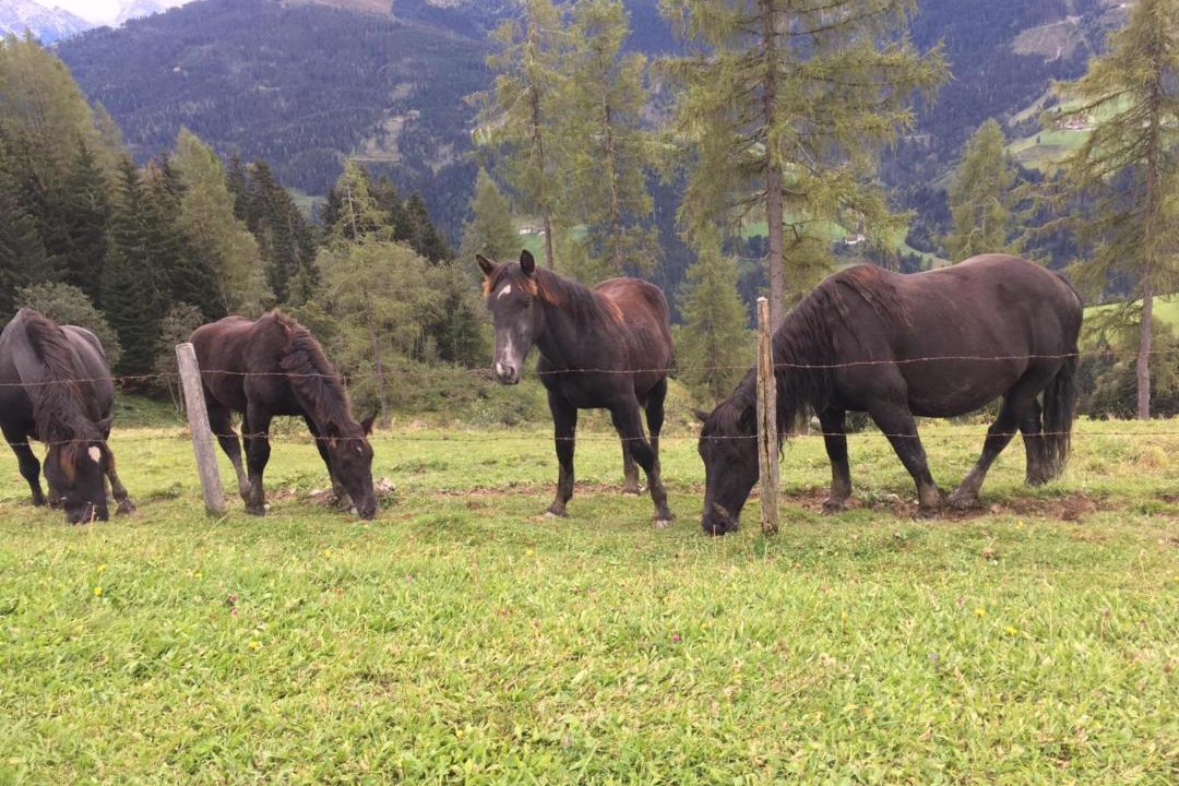 Photo of Others in Sankt Johann im Pongau