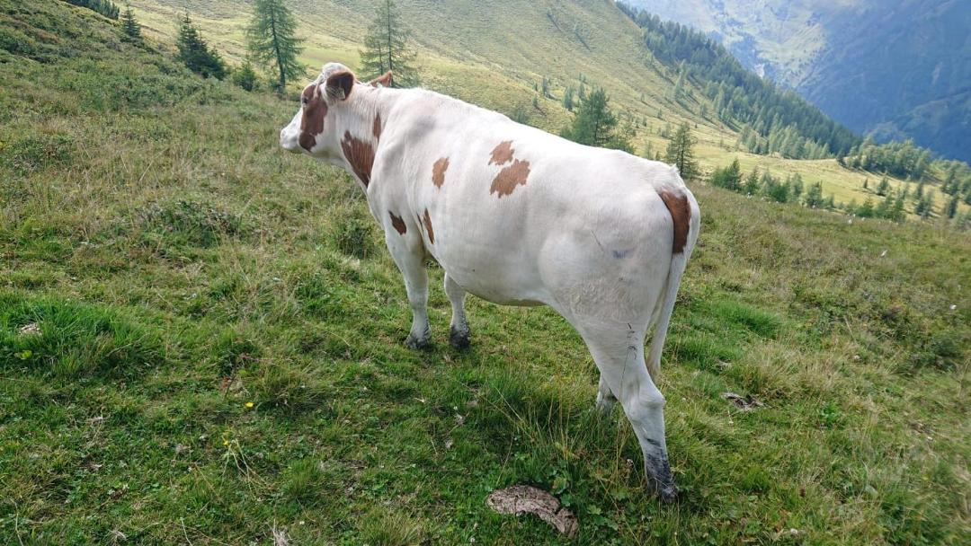 Photo of Others in Sankt Johann im Pongau