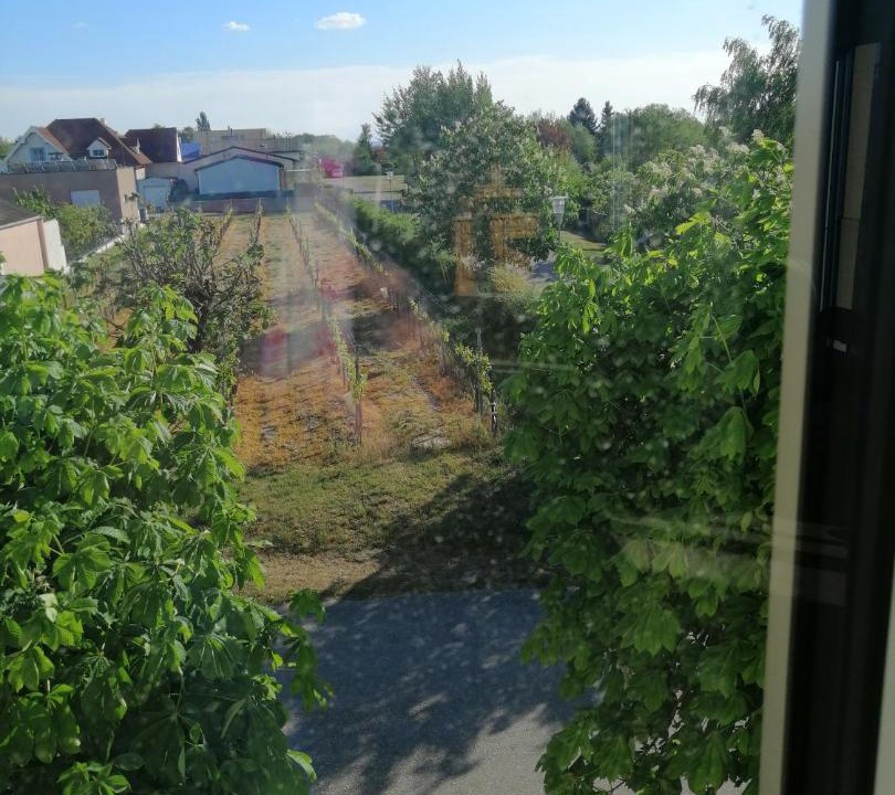 Photo of Others in Podersdorf am See