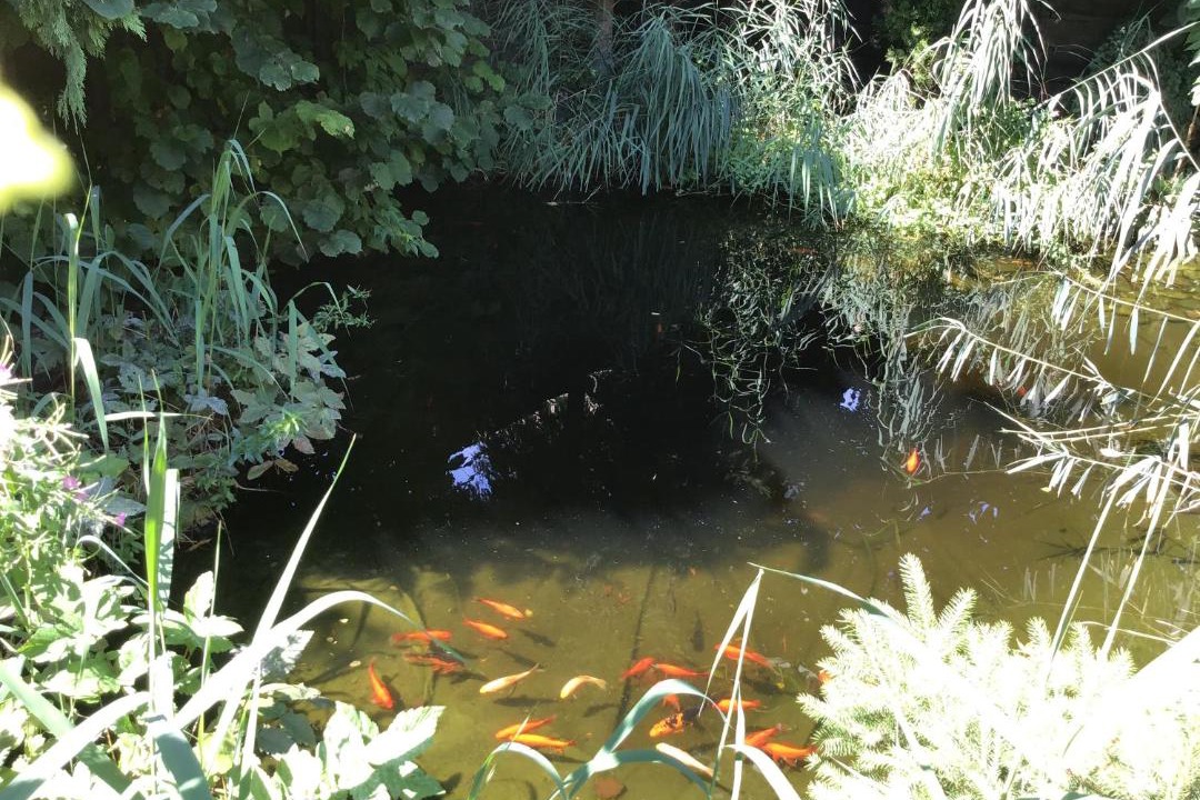 Photo of Others in Liesing