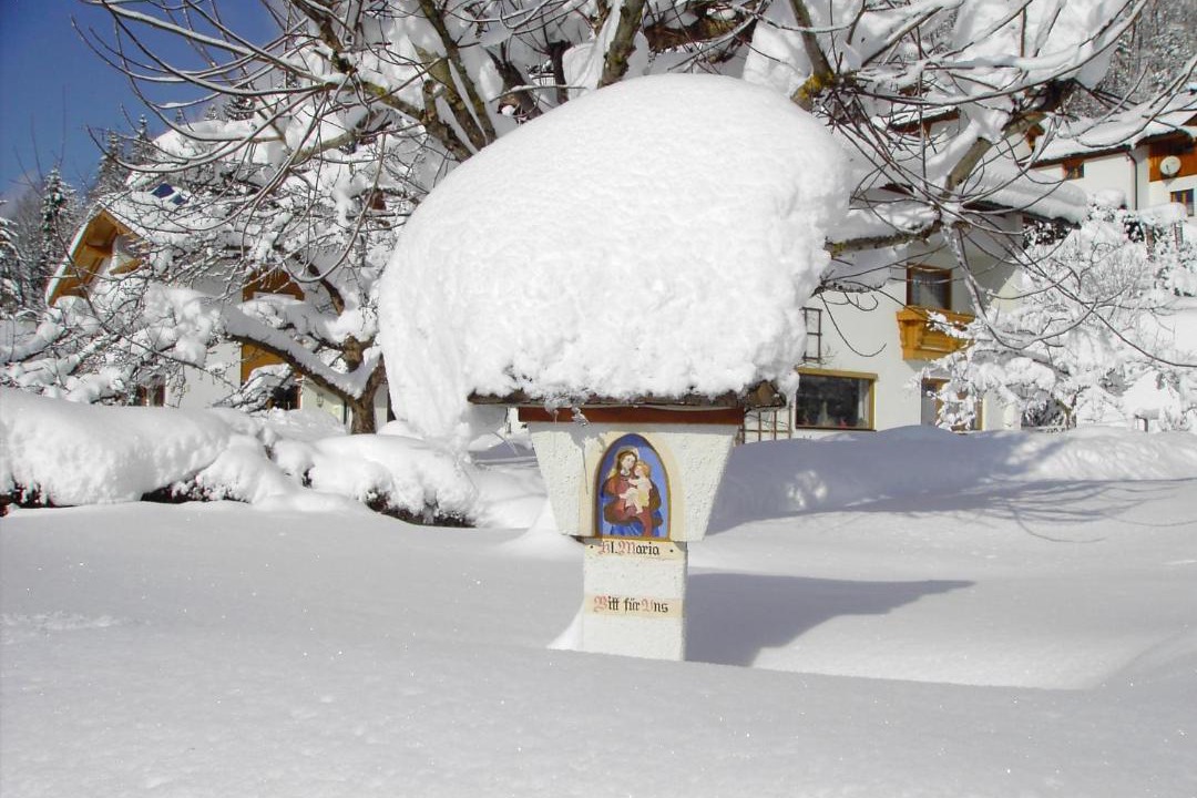 Photo of Others in Walchsee