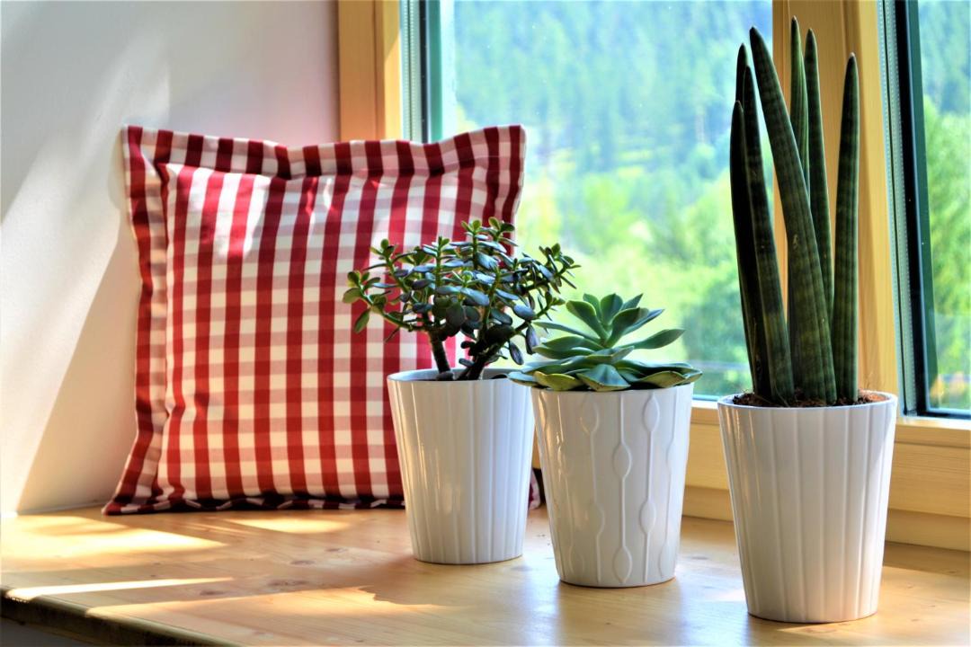 Photo of Others in Schwarzau im Gebirge