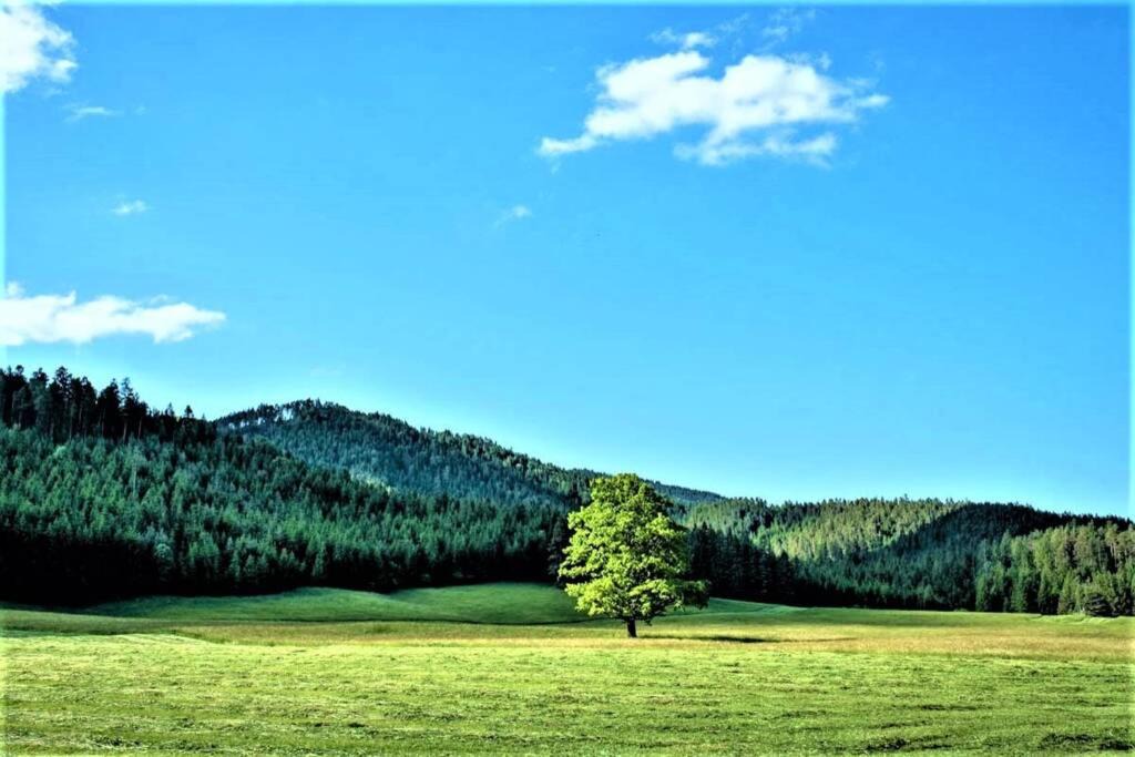 Photo of Others in Schwarzau im Gebirge
