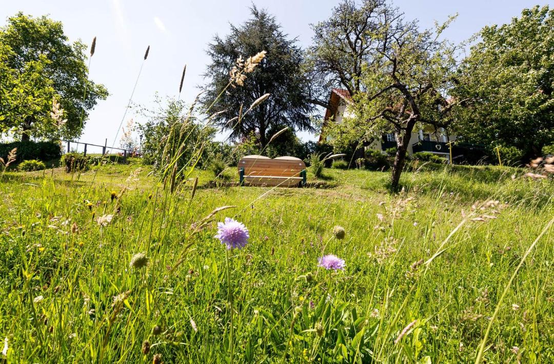 Photo of Others in Loipersdorf bei Fuerstenfeld