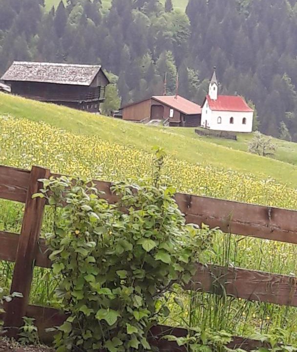 Photo of Others in Lesachtal