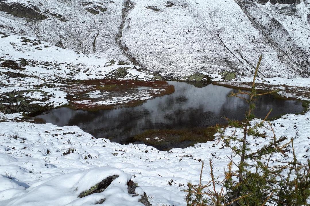 Photo of Others in Berg im Drautal