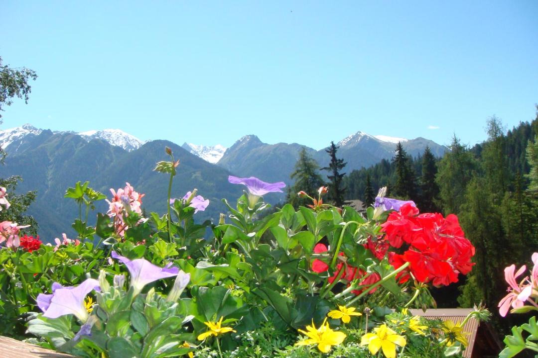 Photo of Others in Serfaus