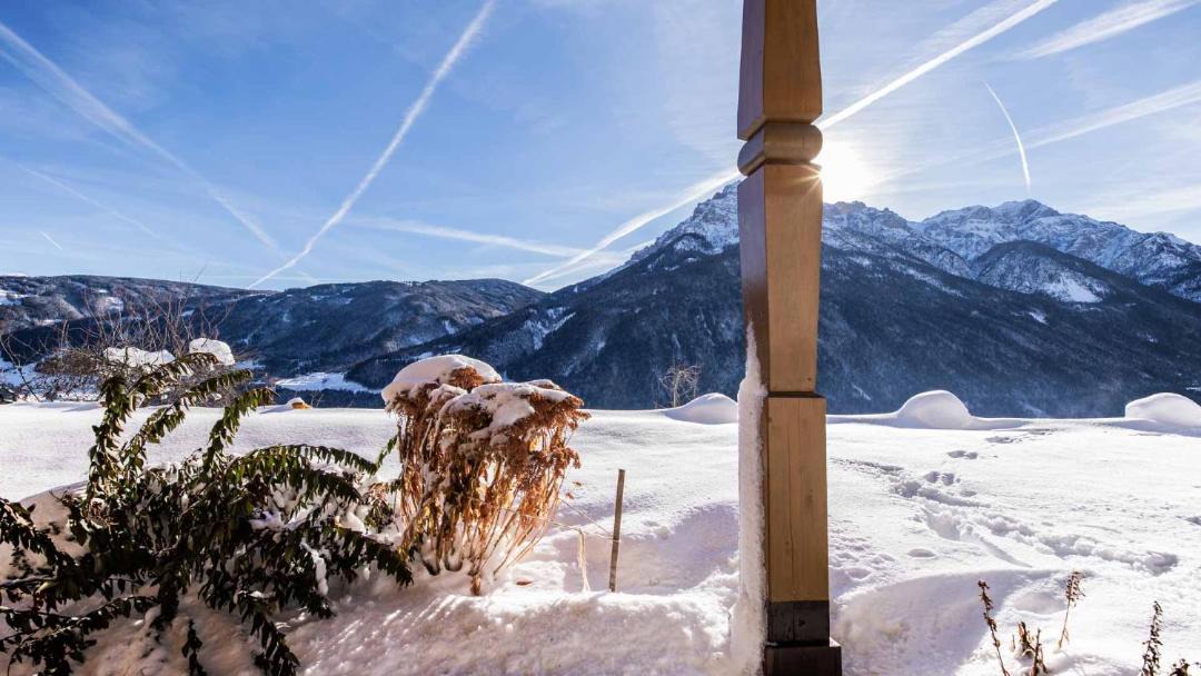 Photo of Others in Telfes im Stubai