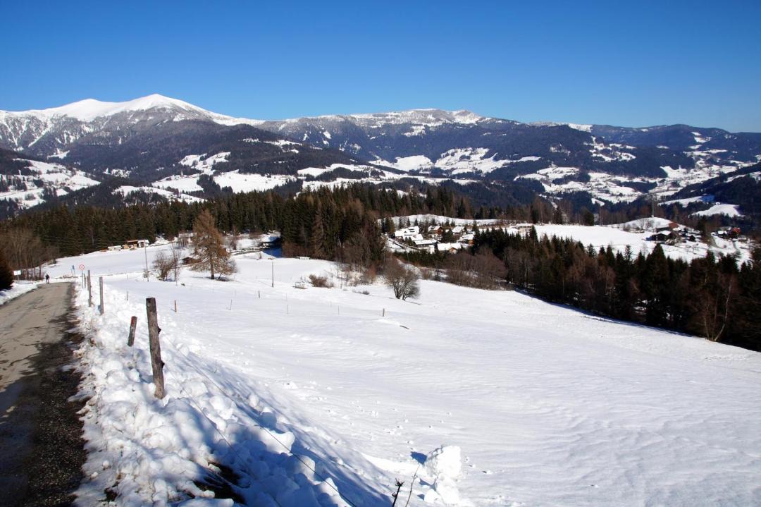 Photo of Others in Verditz