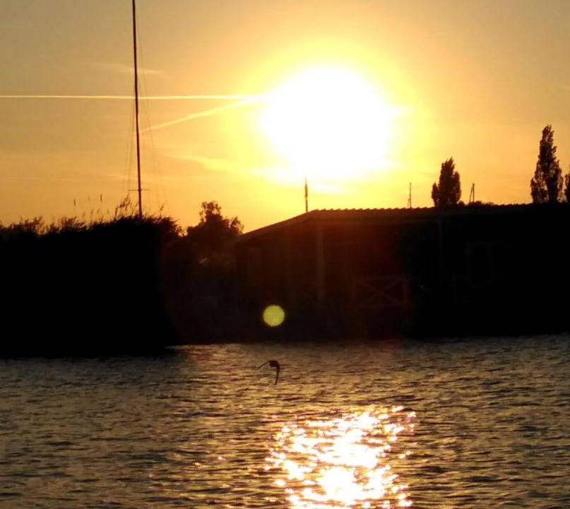 Photo of Others in Rust