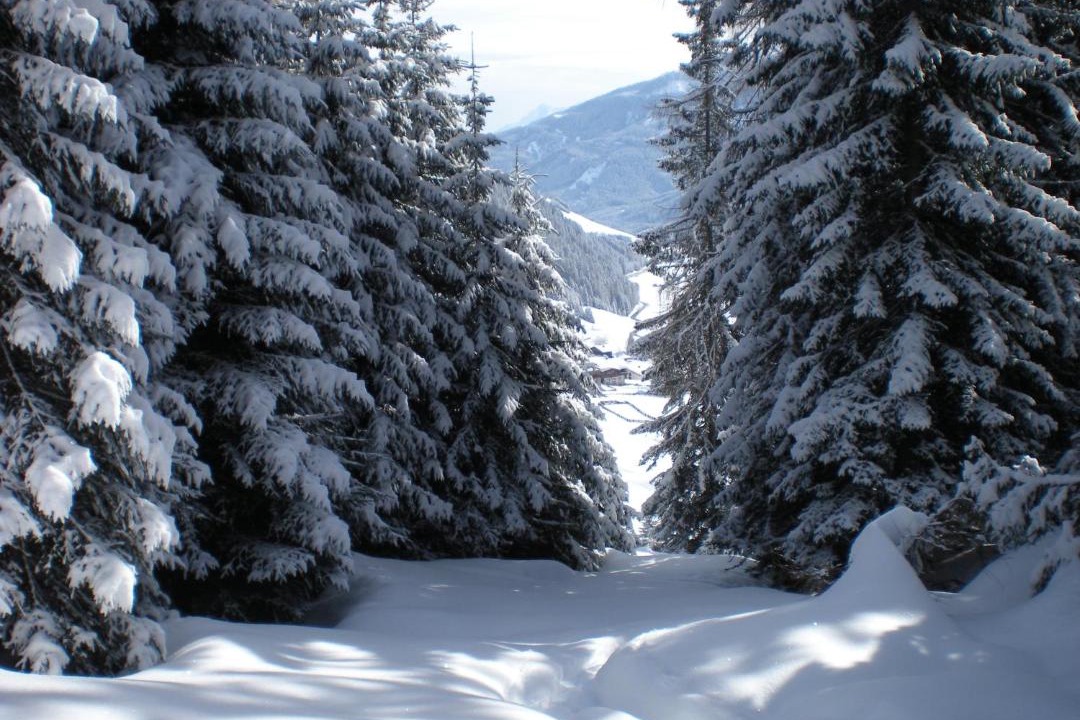Photo of Others in Obertilliach