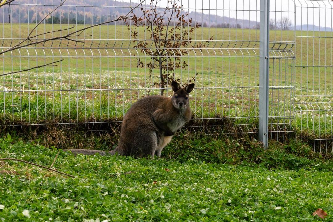 Photo of Others in Plosdorf