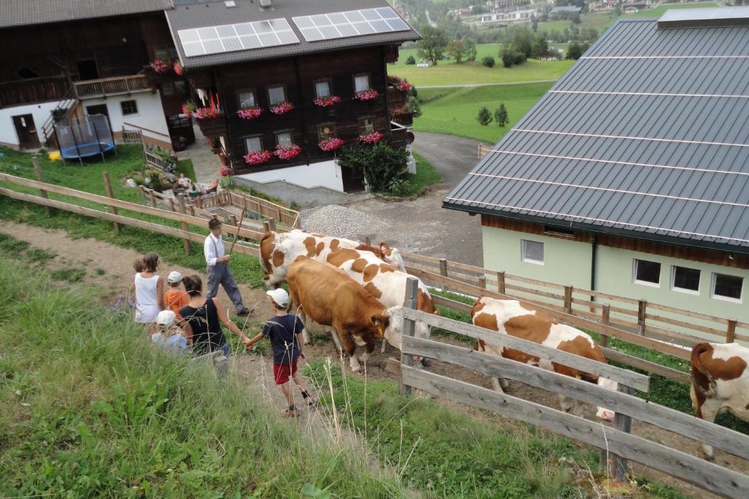 Photo of Others in Matrei in Osttirol
