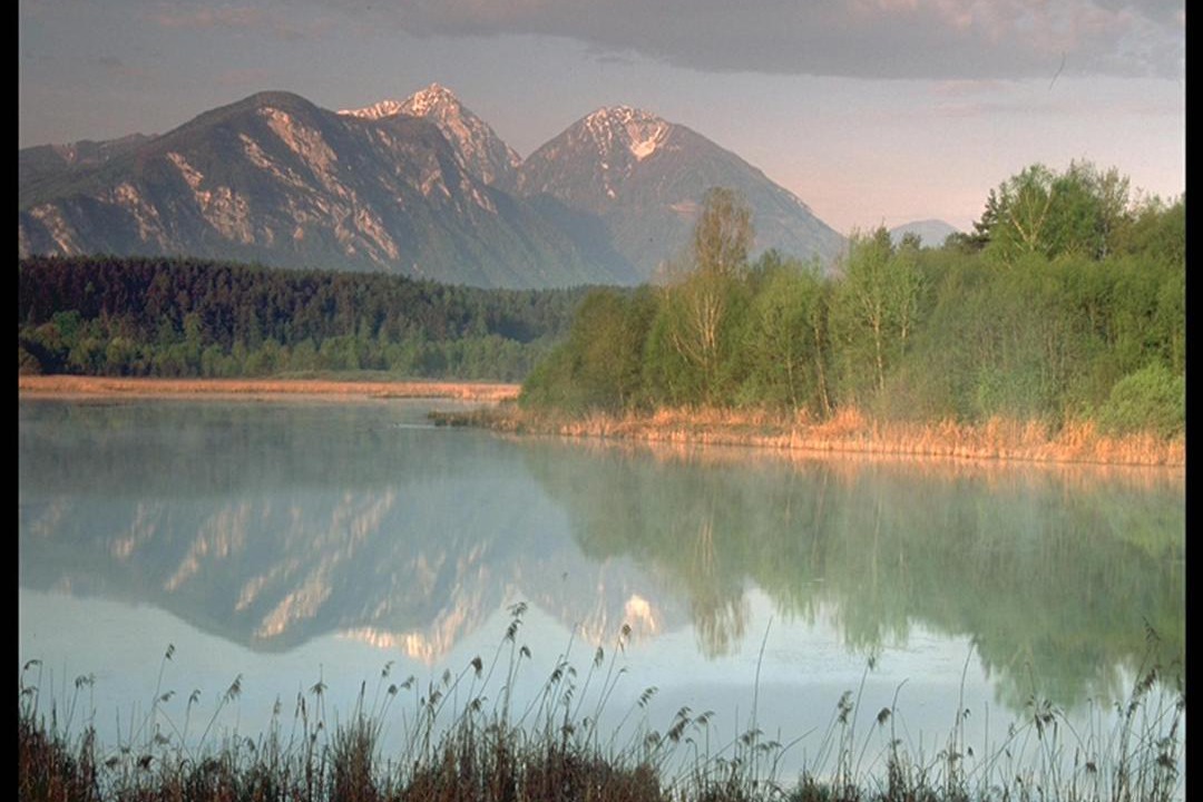 Photo of Others in Seelach