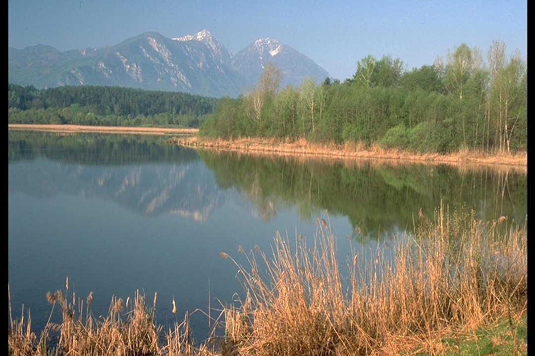 Photo of Others in Seelach