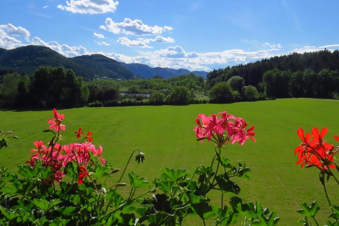 Photo of Others in Seelach