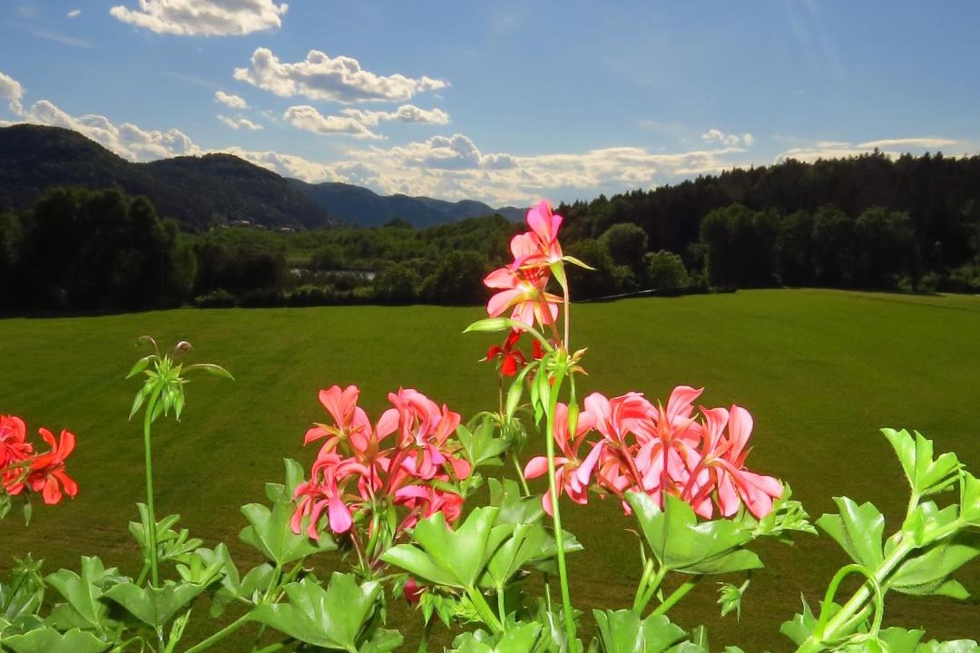 Photo of Others in Seelach