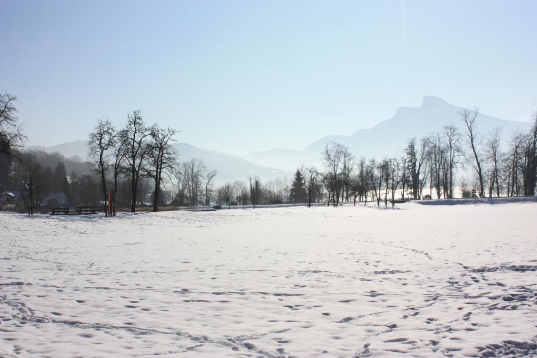 Photo of Others in Mondsee
