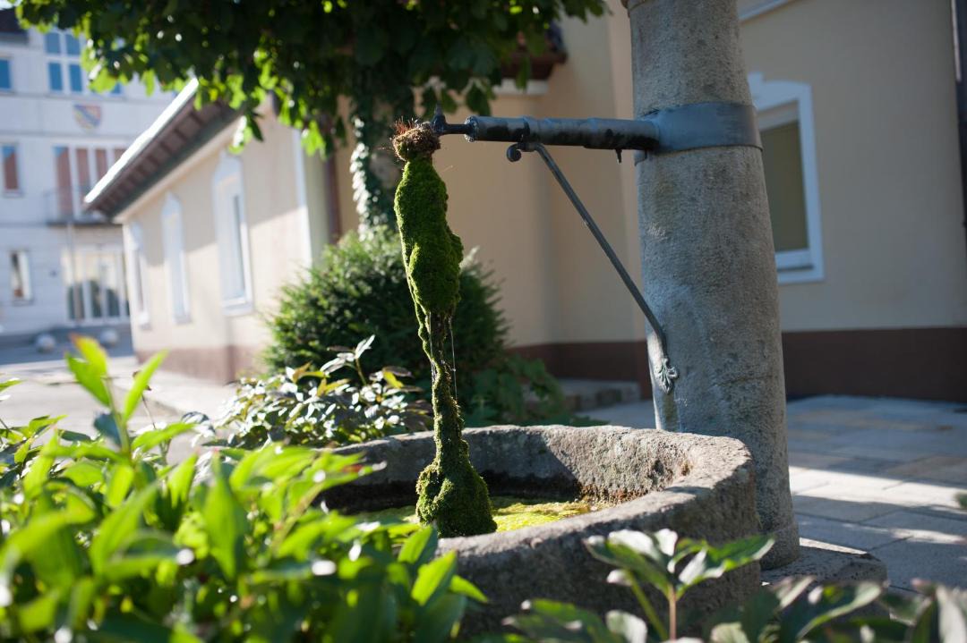 Photo of Others in Ernsthofen