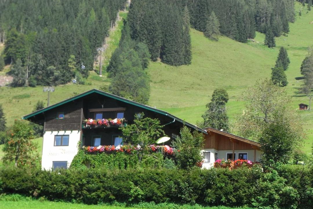 Photo of Others in Werfenweng
