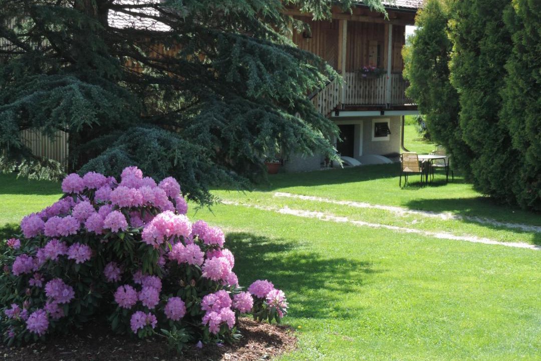 Photo of Others in Schwanberg