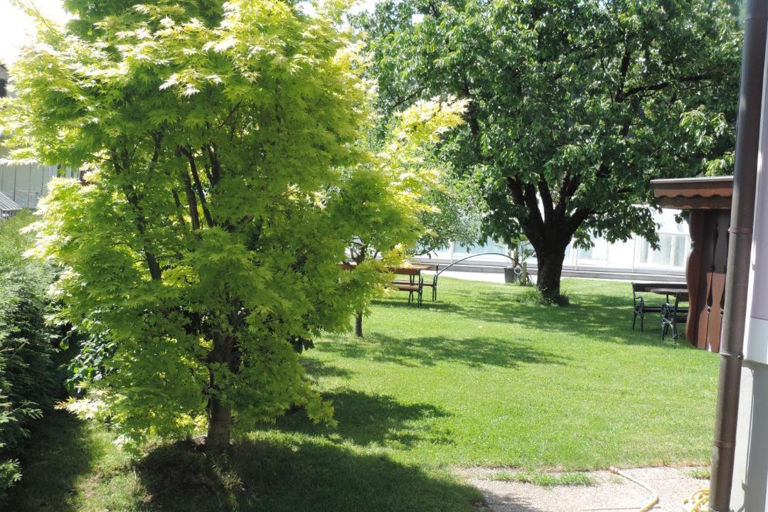 Photo of Others in Schwanberg