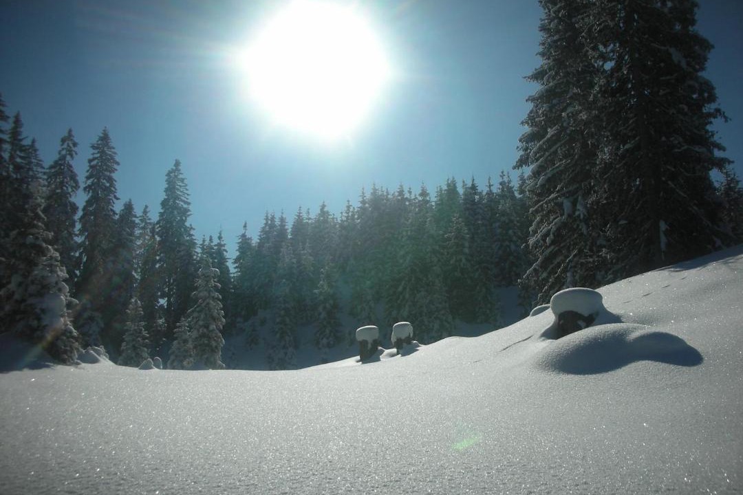 Photo of Others in Sankt Veit im Pongau