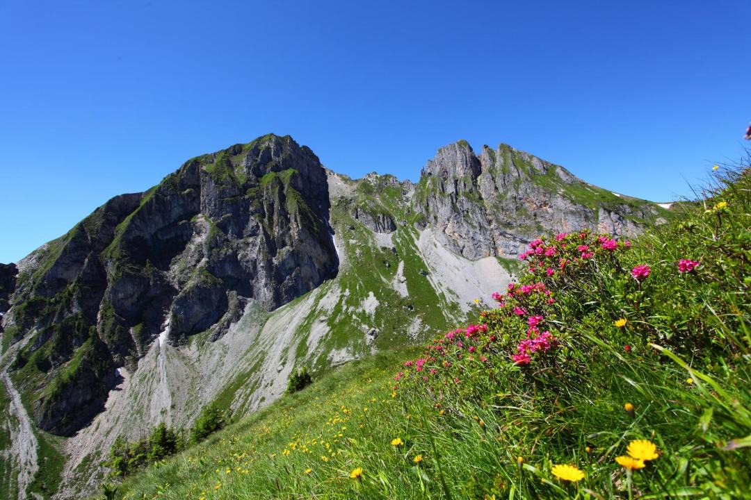 Photo of Others in Sankt Veit im Pongau