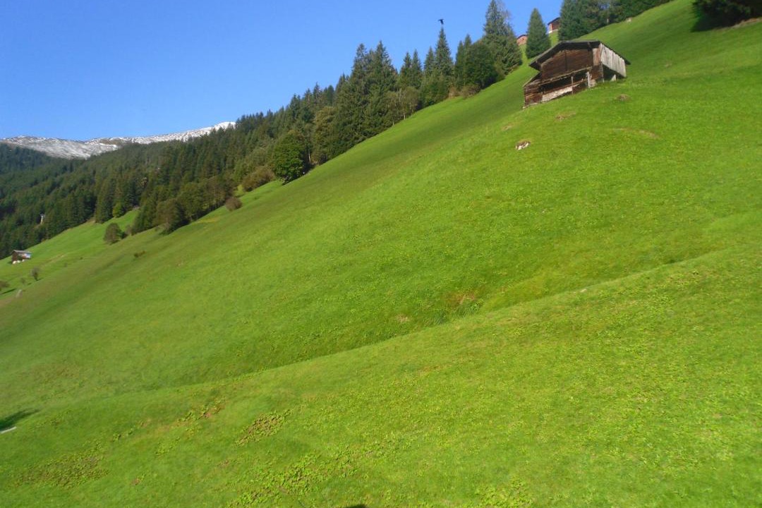Photo of Others in Vorderlanersbach
