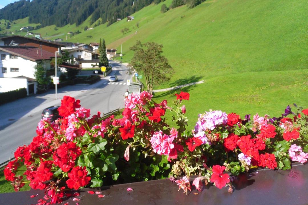 Photo of Others in Vorderlanersbach