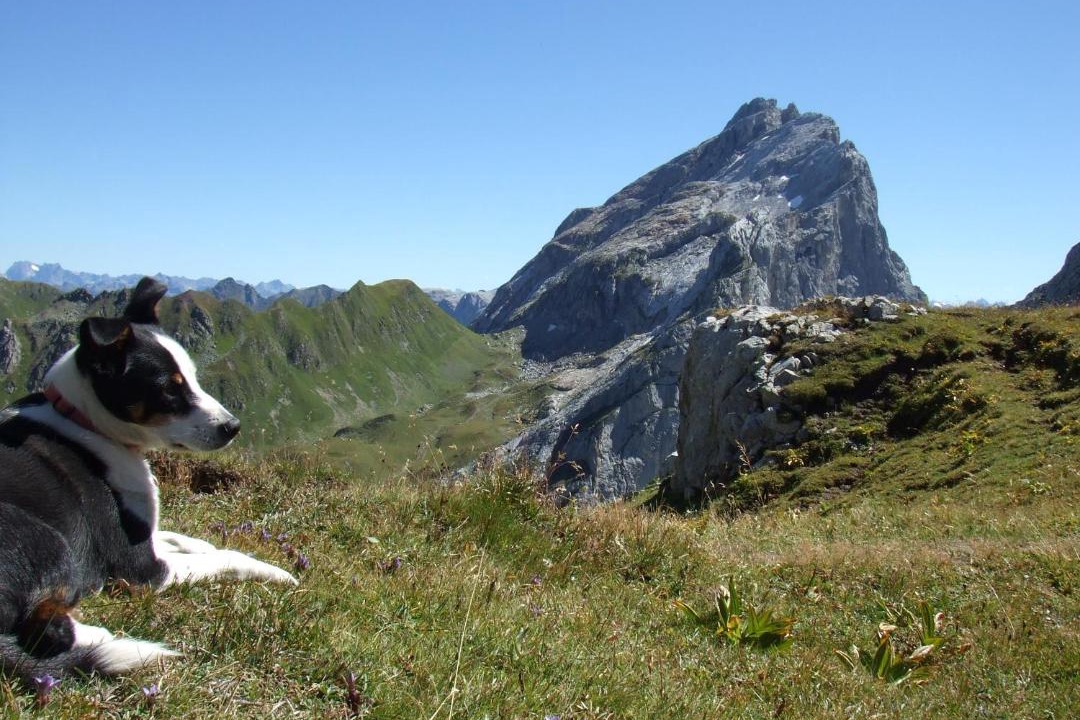 Photo of Others in Schruns