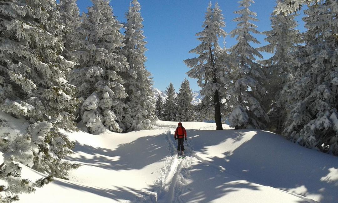 Photo of Others in Schruns