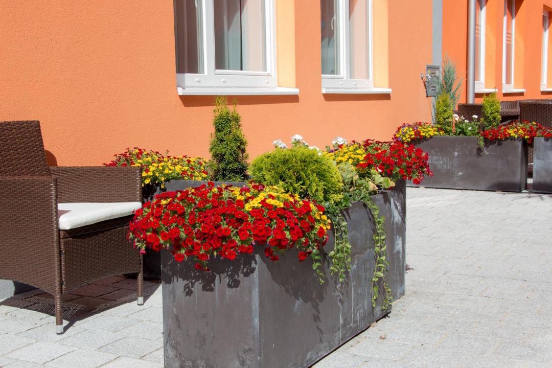Photo of Others in Wiener Neustadt