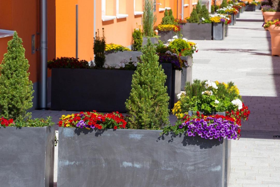 Photo of Others in Wiener Neustadt