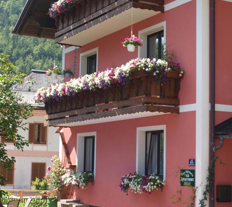 Photo of Others in Hallstatt