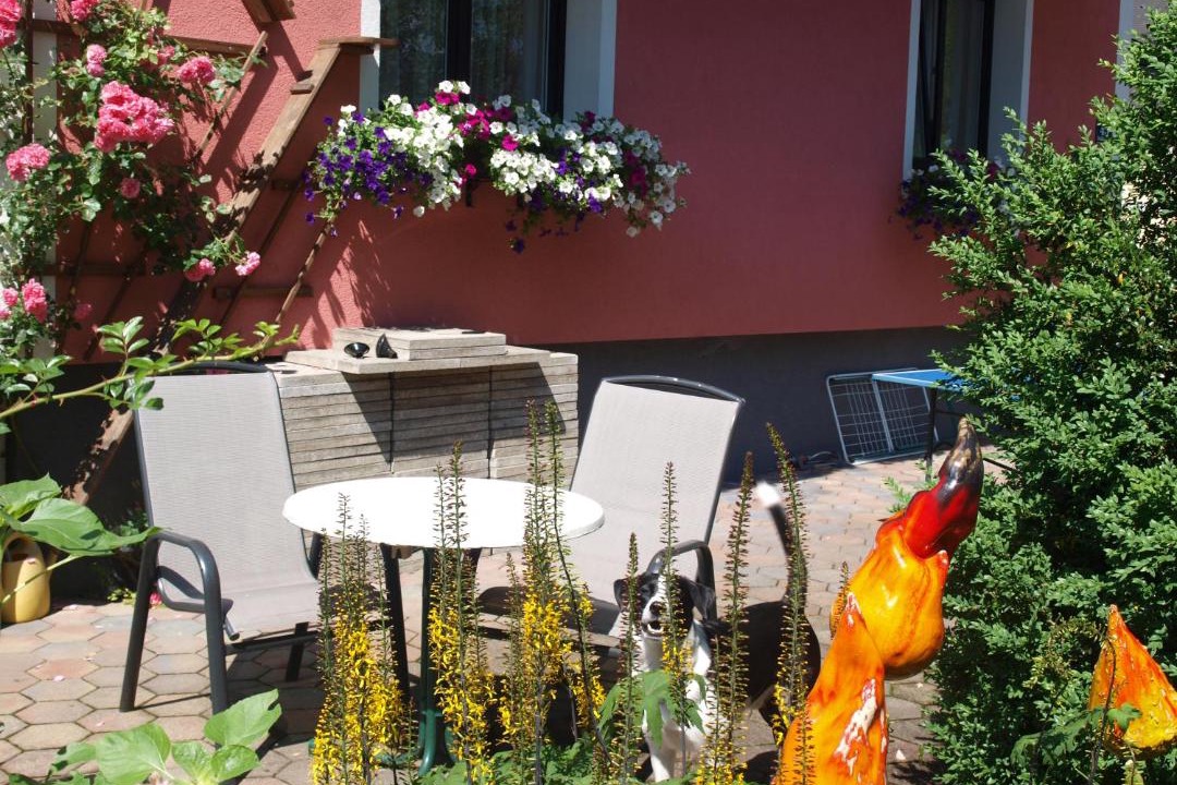 Photo of Others in Hallstatt