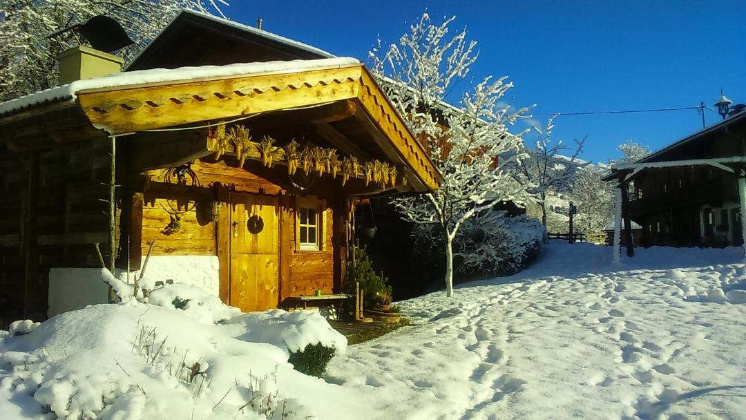 Photo of Others in Alpbach