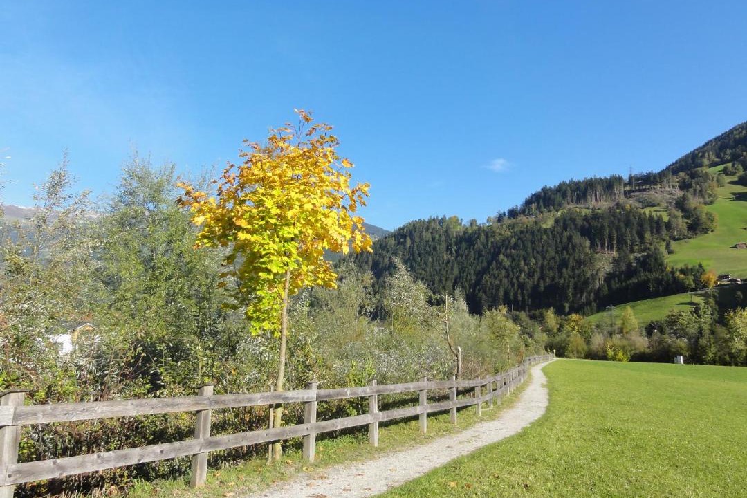Photo of Others in Zellberg