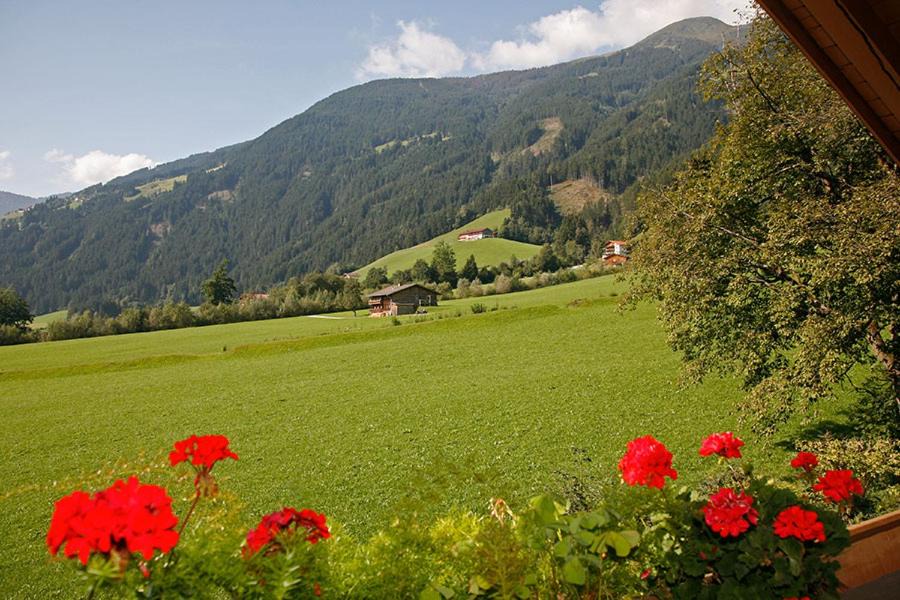 Photo of Others in Zellberg