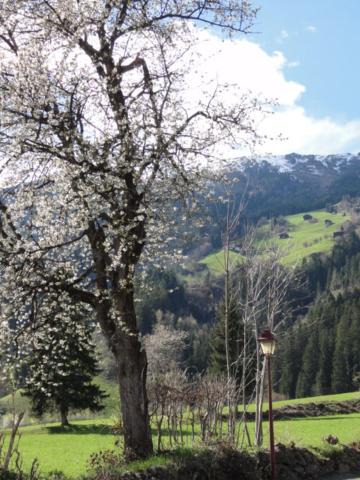 Photo of Others in Zellberg