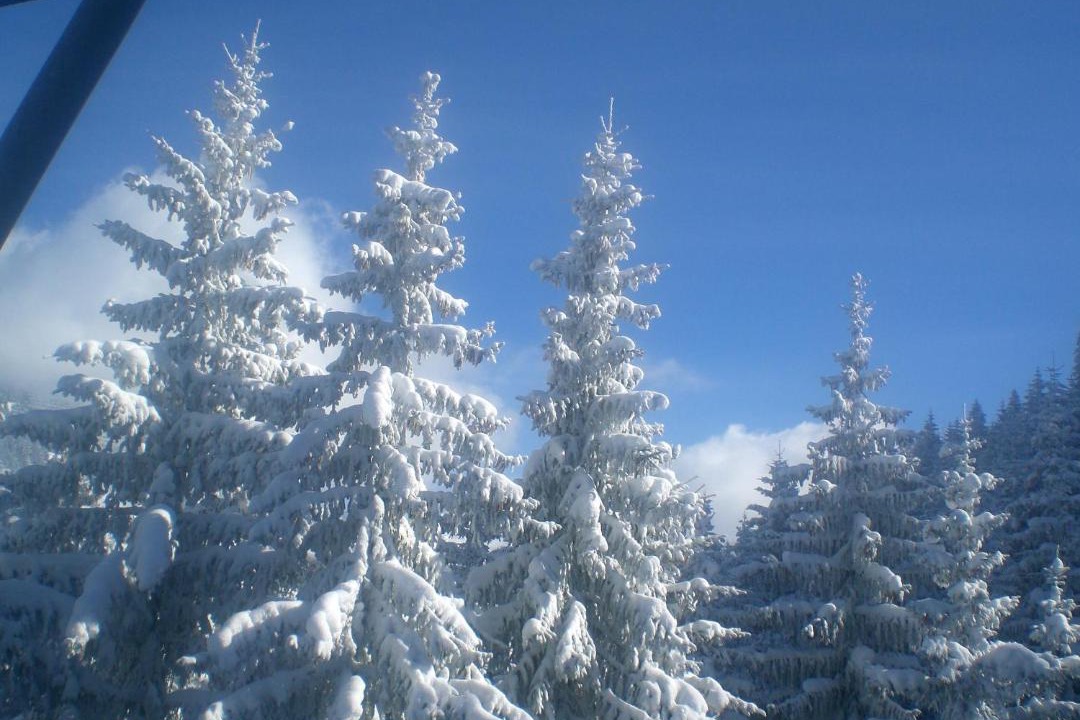 Photo of Others in Silbertal