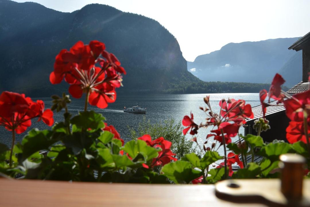 Photo of Others in Hallstatt