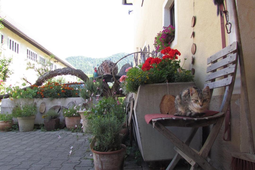 Photo of Others in Mittertrixen
