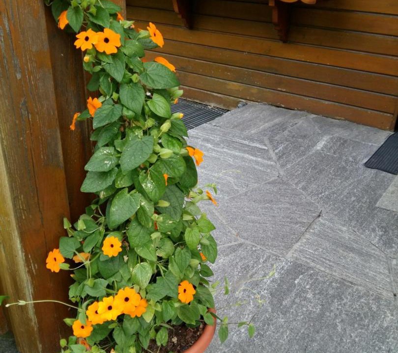 Photo of Others in Sankt Gallenkirch