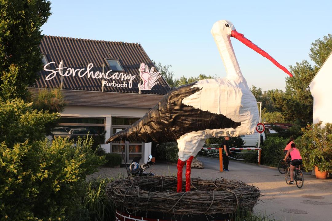 Photo of Others in Purbach am Neusiedlersee