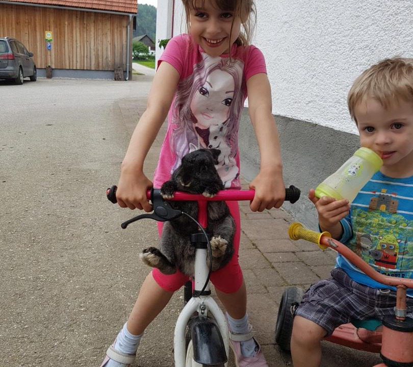 Photo of Others in Rosenau am Hengstpaß