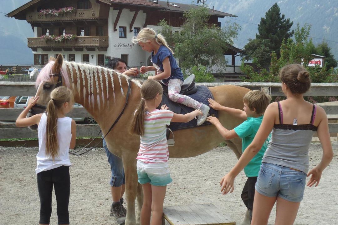 Photo of Others in Niederthai